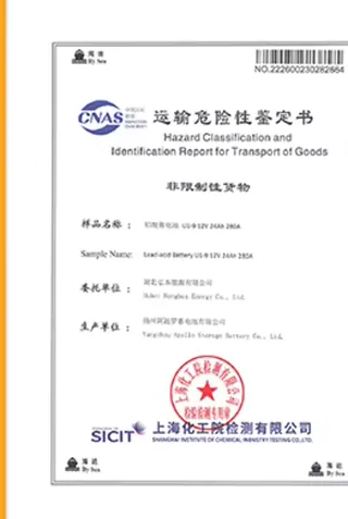 Supplier-provided dangerous-goods transport report, supplier-provided document preview