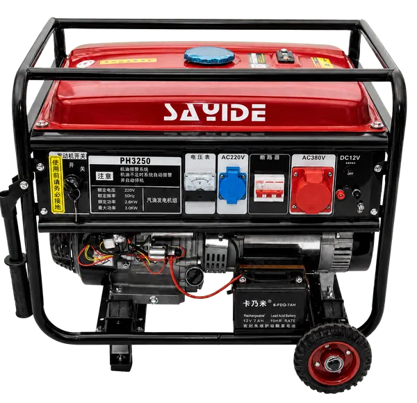 Portable generator candidates